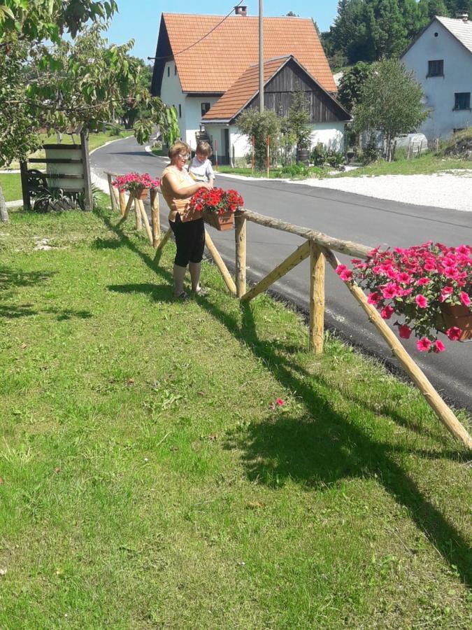 turistična kmetija pr mark Trebce Eksteriør billede
